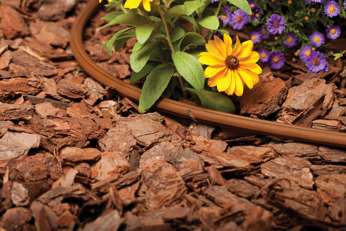 SHRUB WATERING  KIT FOR INTERNATIONAL