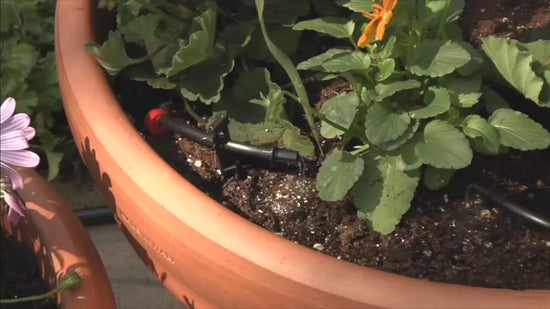 Shrub Watering Kit, Drip Watering kit