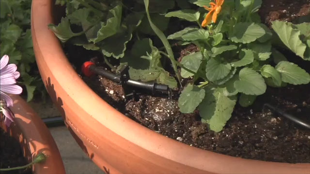 Shrub Watering Kit, Drip Watering kit